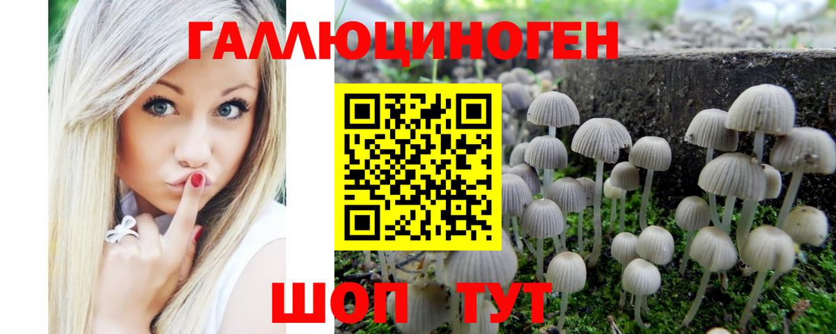 Галлюциногенные грибы Cubensis  Вход с VPN  Люберцы 