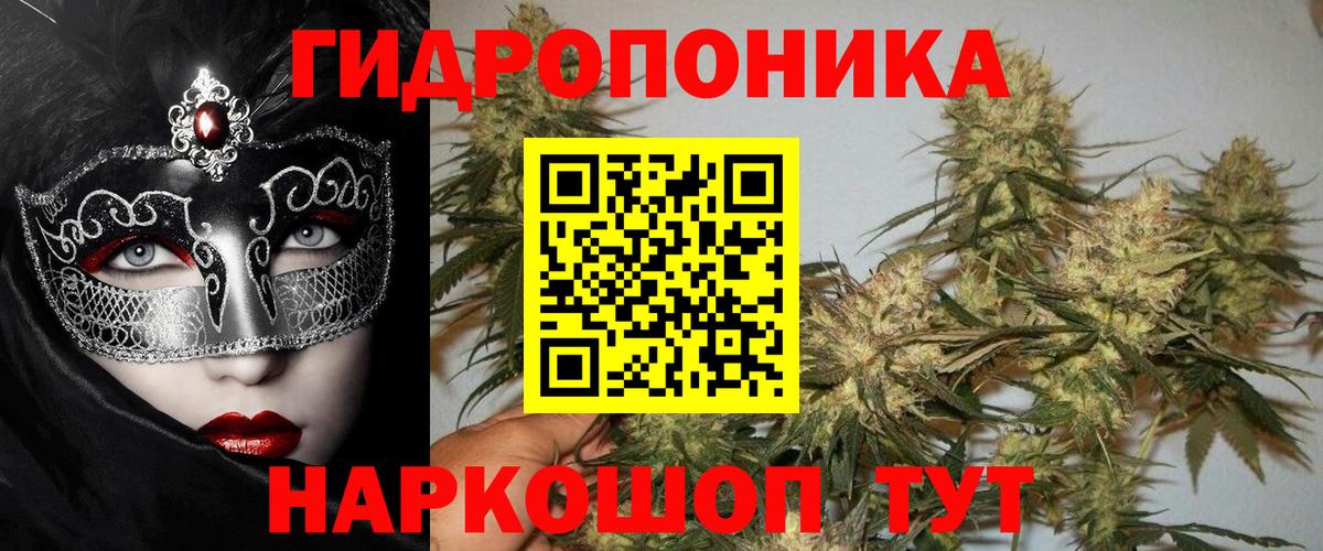 Конопля SATIVA & INDICA  Вход с VPN  Люберцы  Каннабис AK-47  Шишки марихуана AK-47  Каннабис индика 
